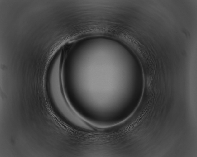 X0000090480676200708031125
