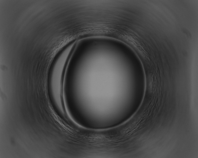 X0000090480677200708031125