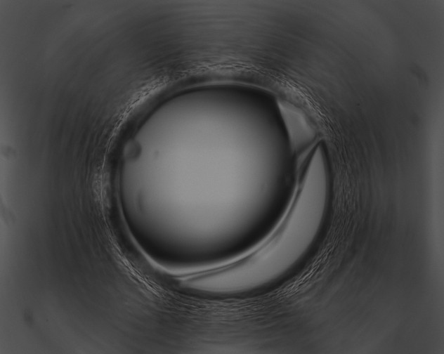X0000090480680200708031125