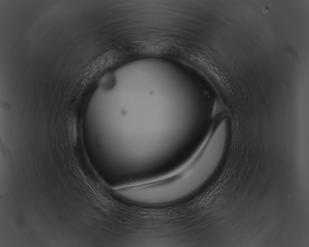X0000090480685200708031125