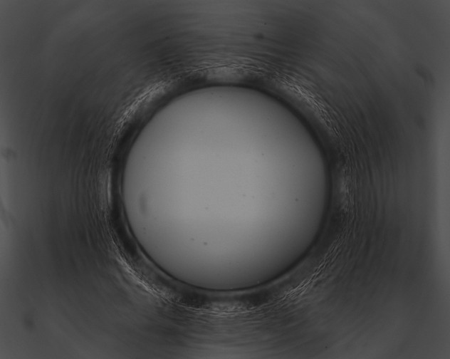 X0000090480686200708031125