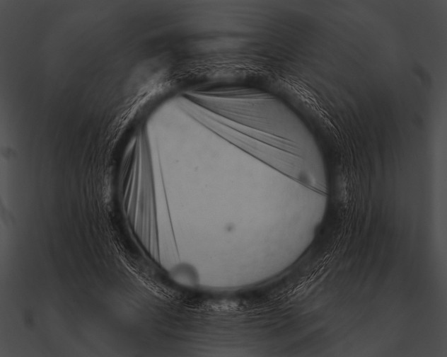 X0000090480687200708031125