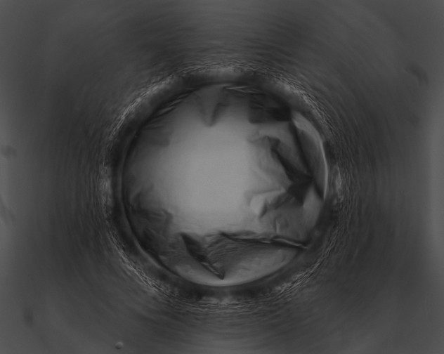 X0000090480688200708031125