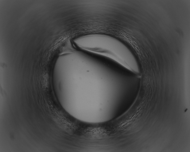 X0000090480689200708031125