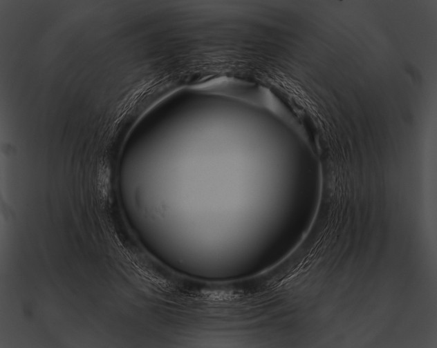 X0000090480693200708031125