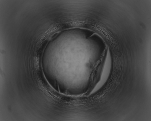X0000090480696200708031125