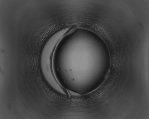 X0000090480697200708031125