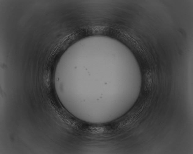 X0000090480698200708031125