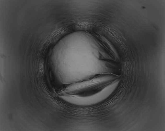 X0000090480699200708031125