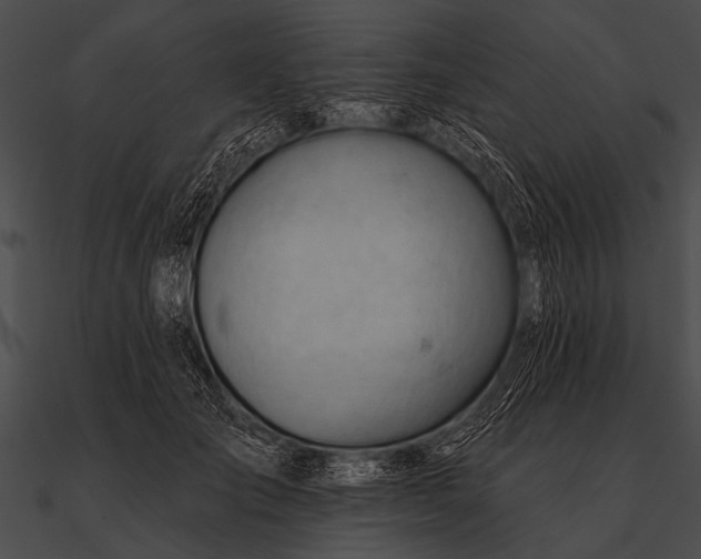 X0000090480701200708031125