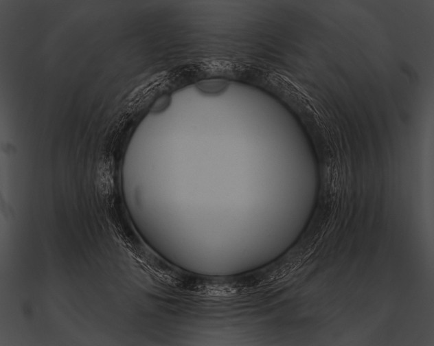 X0000090480702200708031125