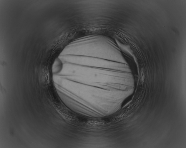X0000090480703200708031125