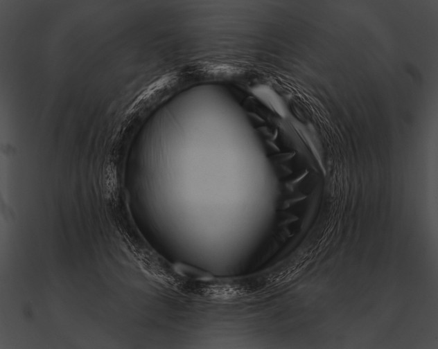 X0000090480704200708031125