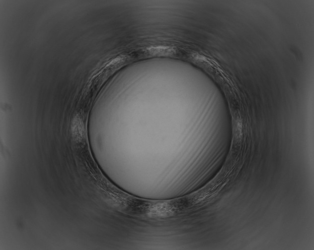 X0000090480705200708031125