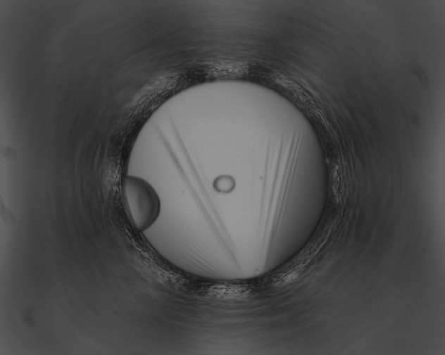 X0000090480714200708031125