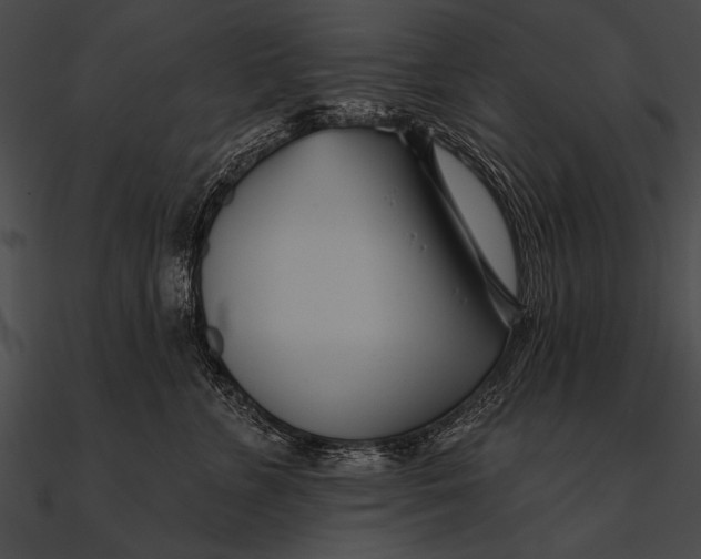X0000090480715200708031125