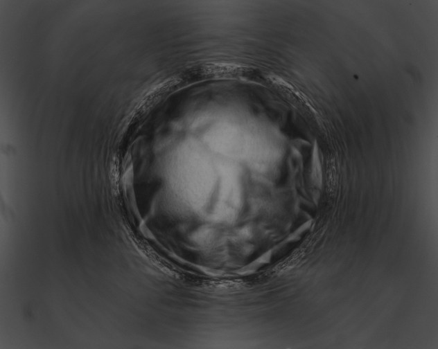 X0000090480716200708031125