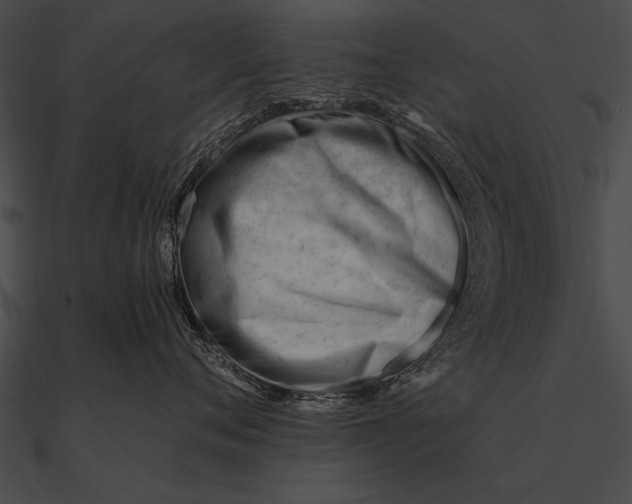 X0000090480720200708031124