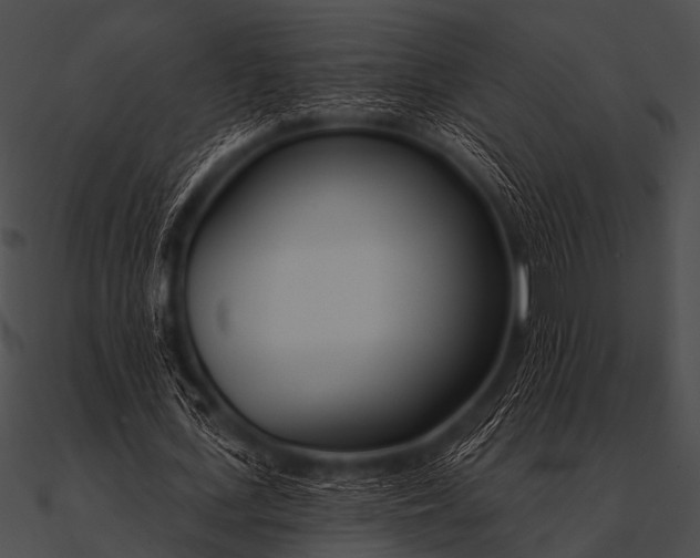 X0000090480723200708031124
