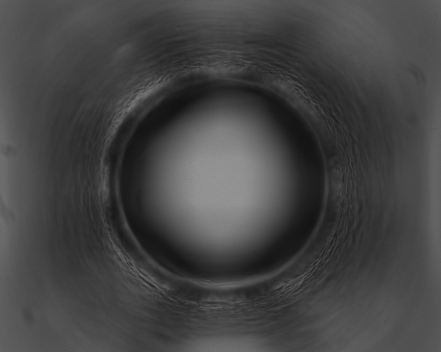 X0000090480727200708031124