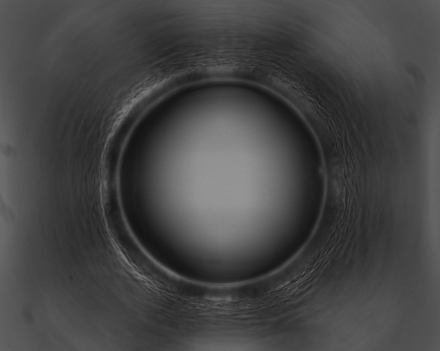 X0000090480728200708031124