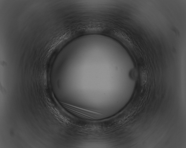 X0000090480729200708031124