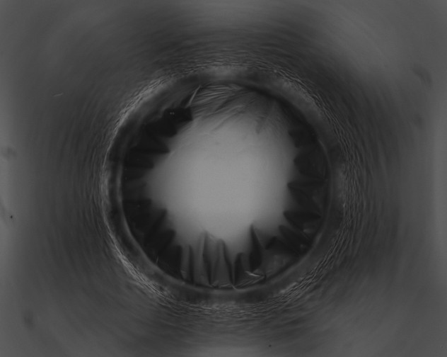 X0000090480730200708031124
