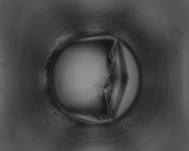 X0000090480731200708031124