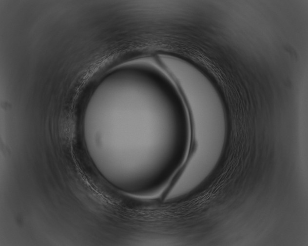 X0000090480732200708031124