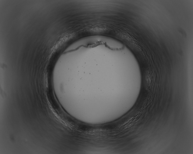 X0000090480734200708031124