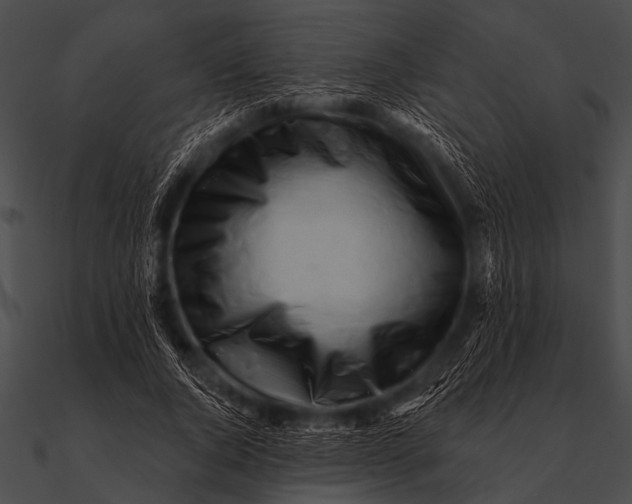 X0000090480736200708031124