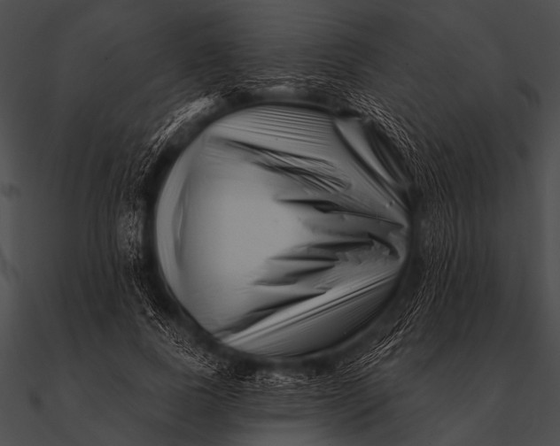 X0000090480739200708031124