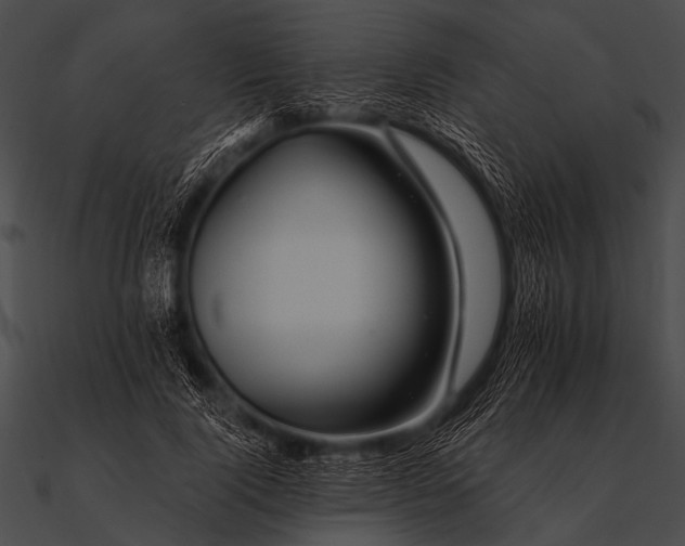 X0000090480740200708031124