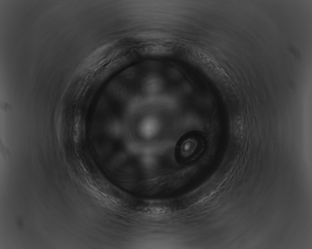 X0000090480741200708031124