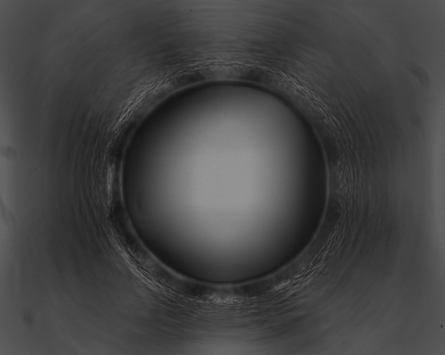 X0000090480742200708031124