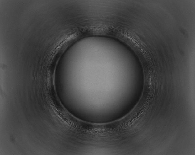X0000090480744200708031124