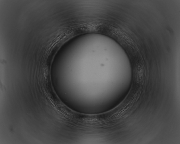 X0000090480747200708031124