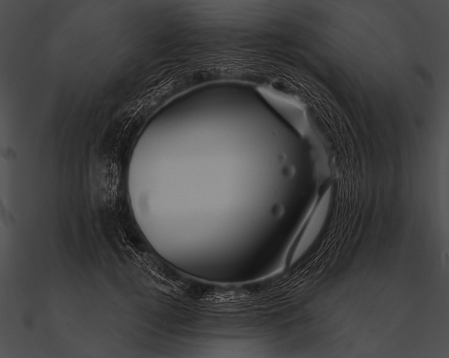 X0000090480752200708031124