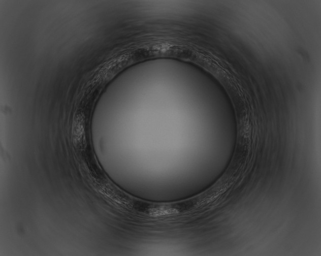 X0000090480754200708031124