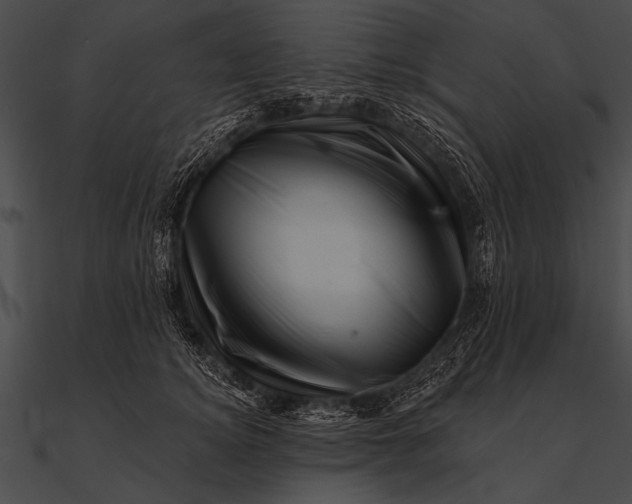 X0000090480756200708031124