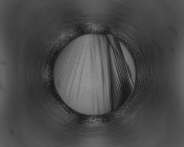 X0000090480760200708031124