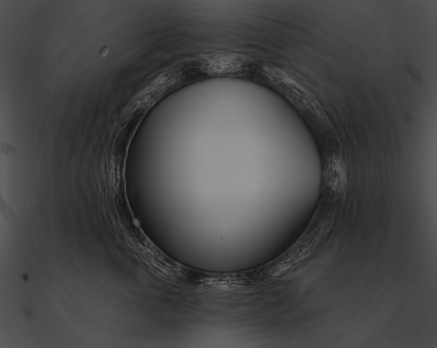 X0000090480763200708031124