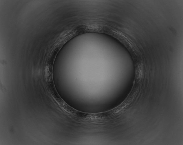 X0000090480764200708031124