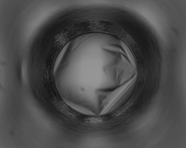 X0000090480765200708031124