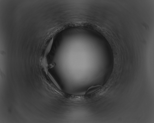 X0000090480768200708031124