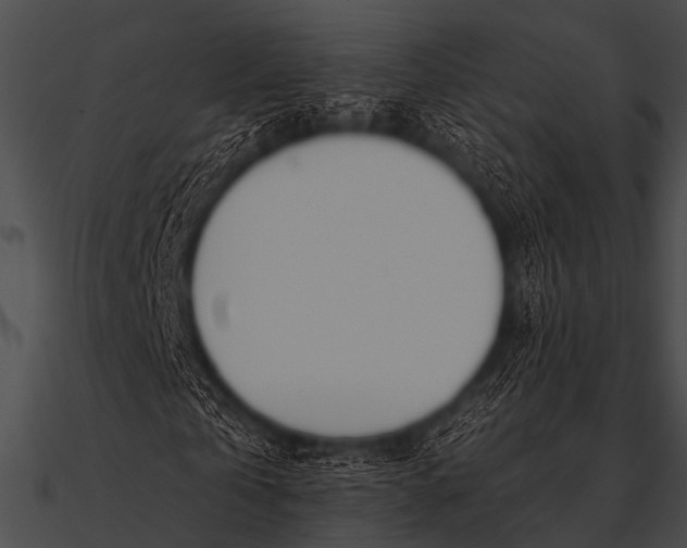 X0000090480769200708031124