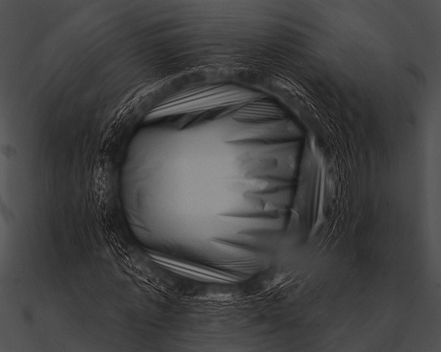 X0000090480773200708031124