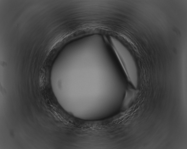 X0000090480775200708031124