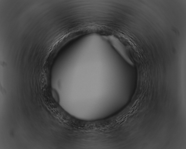 X0000090480776200708031124
