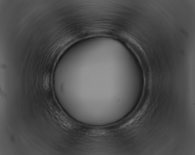 X0000090480777200708031124